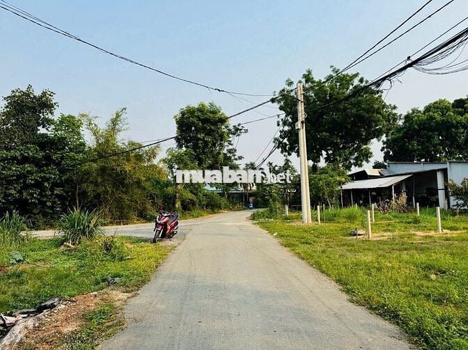 Đất mặt tiền đường nhựa số 29-Phước Vĩnh An: 87m2 (6x15). Giá 1 tỷ 290