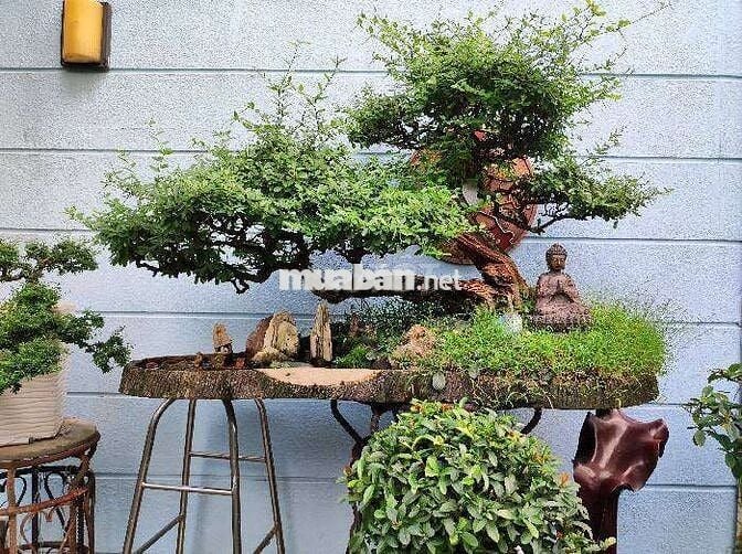 Thống Nhất, Biệt phủ 3 tầng, sân ô tô quay đầu, gần 200 m²,giá 13.8 tỷ