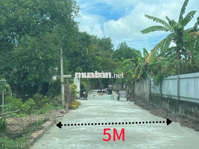 Đất An Điền Giá Tốt Tại Thời Điểm