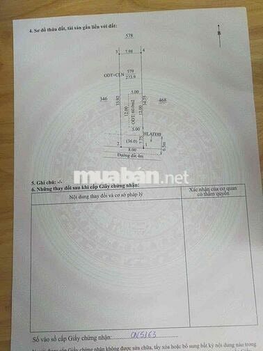 Đất An Điền Giá Tốt Tại Thời Điểm