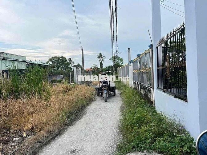 ⭐️⭐️ 1.045m² lúa(có 203m²) thổ cư tại kp9 TT Bến Lức