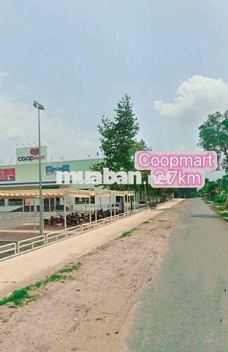 🌳 249TR SUỐI ĐÁ – DƯƠNG MINH CHÂU TÂY NINH  🌳