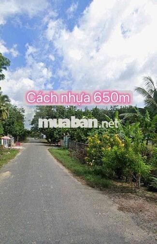 🌳 249TR SUỐI ĐÁ – DƯƠNG MINH CHÂU TÂY NINH  🌳