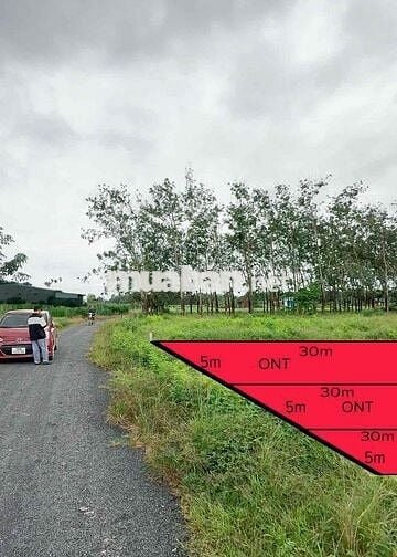 🌳 249TR SUỐI ĐÁ – DƯƠNG MINH CHÂU TÂY NINH  🌳