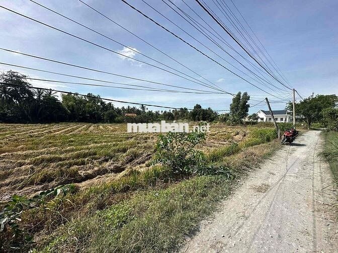 ⭐️⭐️ 1.045m² lúa(có 203m²) thổ cư tại kp9 TT Bến Lức