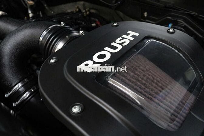 Ford F-150 Raptor SX 2019 màu xanh