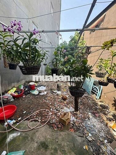 Nhà hẻm xe hơi diện tích khủng 116 m2 giá rẻ ( chính chủ )