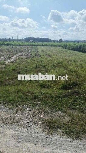 bán lô đất sổ sẳn dt 5x35 cn 175m thổ cư 100% châu thành tây ninh