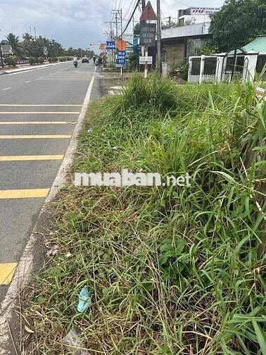 CẦN BÁN MIẾNG ĐẤT MẶT TIỀN QL61
