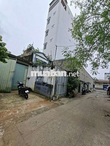 Đât full thổ 4x19,5 ,đường ô tô vivu kế bên khu 38ha Dương Thị Giang