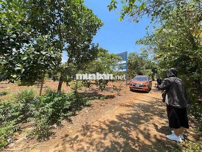 🌿 BÁN ĐẤT XÃ XUÂN BẢO – HUYỆN CẨM MỸ – ĐỒNG NAI 🌿  📍 Vị trí: Xã Xuân B