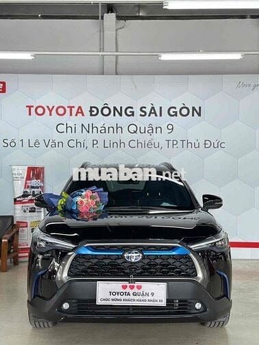 Toyota Innova Vios Wigo Fortuner Altis camry