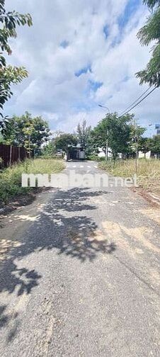ĐẤT BIỂN ĐÔNG HẢI VIEW CHỢ KẸP CỐNG ĐƯỜNG ĐÔNG HẢI 11
