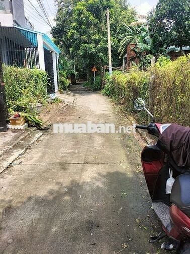 Đất phú hòa gần bên trường cấp 2 phú hòa sẹc hẻm 93 giá công nhân