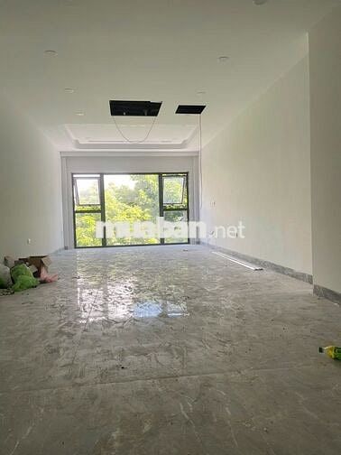 Nhà Cạnh Aeon Long Biên 51m2 Ô Tô Ra Vào Ngay Trục Chính Gần Hồ