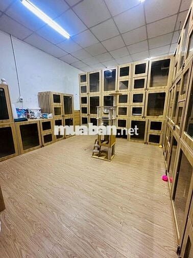 Cho thuê nhà mặt tiền: Thống Nhất, P.10, Gò Vấp. 4.5 x28m