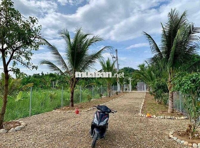 Em Hiền chính chủ cần bán miếng đất kèm căn nhà nhỏ . Tổng diện tích 2