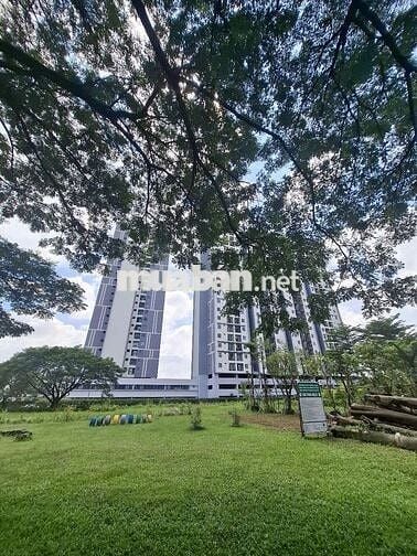 Cho thuê Eco Xuân 3Pn2Wc 2 ban công nhà mới đẹp