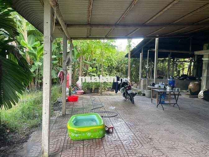 BÁN LÔ ĐẤT ĐẸP CHÍNH CHỦ TẠI TRUNG LẬP THƯỢNG-CỦ CHI, GIÁ 5 TRIỆU/M2