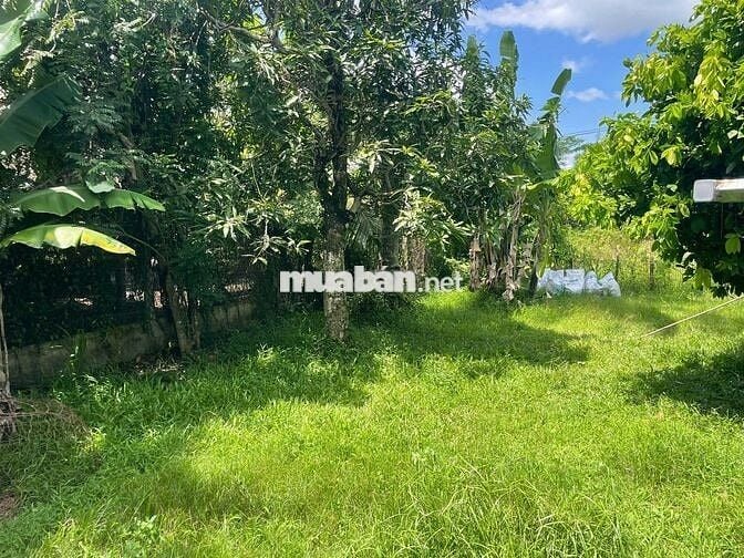 BÁN LÔ ĐẤT ĐẸP CHÍNH CHỦ TẠI TRUNG LẬP THƯỢNG-CỦ CHI, GIÁ 5 TRIỆU/M2