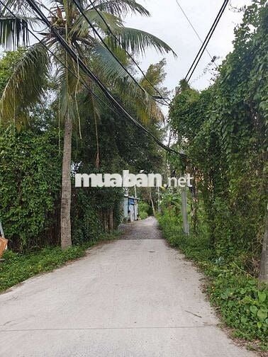 BÁN NHÀ CCVB ĐƯỜNG TAM BÌNH HBC THỦ ĐỨC CŨ GẦN CHỢ HIỆP BÌNH