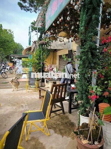 🔥Chủ ngộp lắm rồi, bán Đất 400m2, mặt tiền đường Phù Đổng Thiên Vương🔥