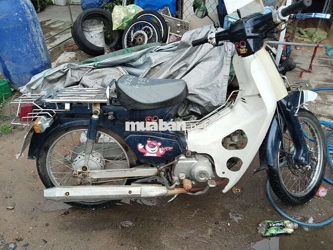 Cup han quốc 50cc