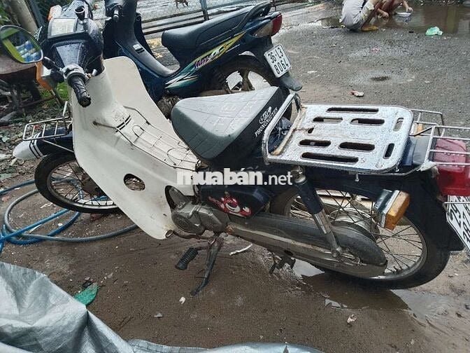 Cup han quốc 50cc