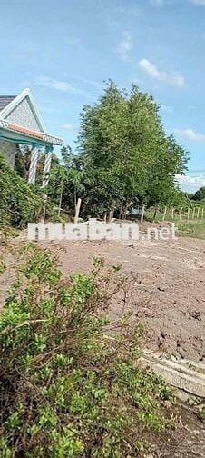 NHỈNH 2T LÔ ĐẤT ĐÓN ĐẦU VÀNH ĐAI
