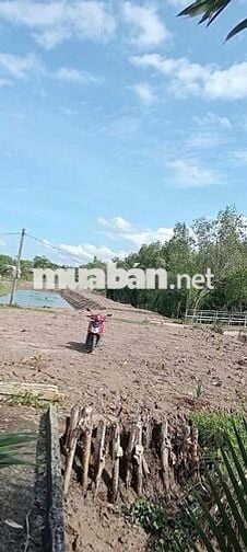 NHỈNH 2T LÔ ĐẤT ĐÓN ĐẦU VÀNH ĐAI