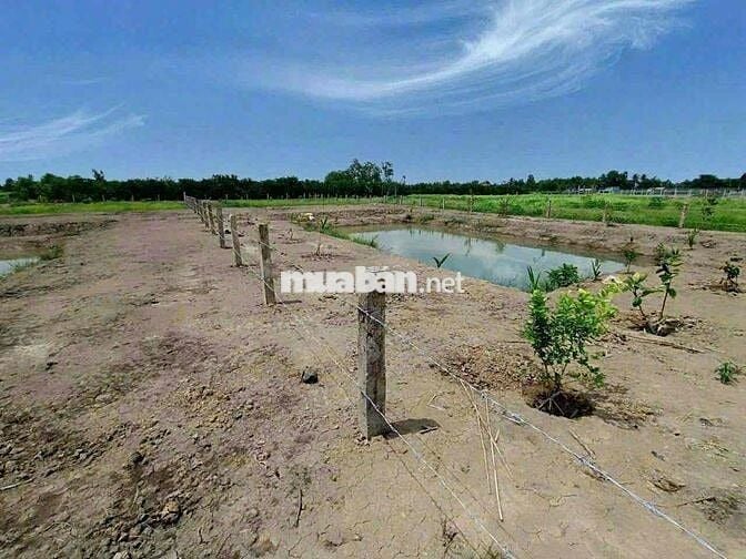 đất vườn Bến lức Long An giá rẻ