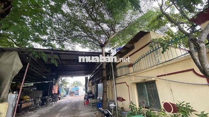 MẶT TIỀN NGUYỄN CỬU PHÚ - 15.000M2 - CHÍNH CHỦ LÂU NĂM