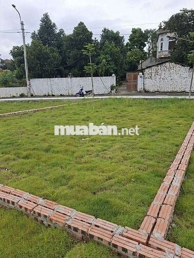 Hòa Lạc-tọa độ vàng kết nối những giá trị tinh hoa.
