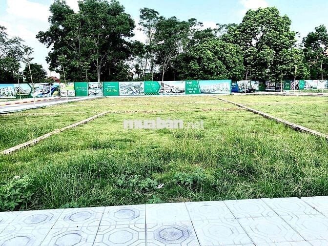 Bán đất Cổ Đông, 3,953 tỷ, 100m2, view đẹp, mặt tiền 6.55m, ngõ rộng 7