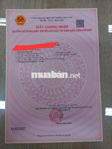 Bán Lô Đất Thổ Cư xã Lý Nhơn huyện Cần Giờ TPHCM Giá Rẻ