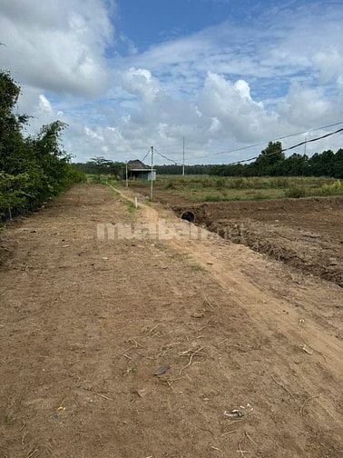 Đất Lúa  Đường XTT2 Hóc Môn. Giá 2,6tr/m²