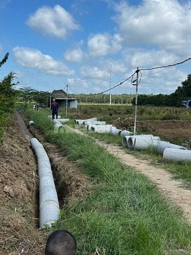 Đất Lúa  Đường XTT2 Hóc Môn. Giá 2,6tr/m²
