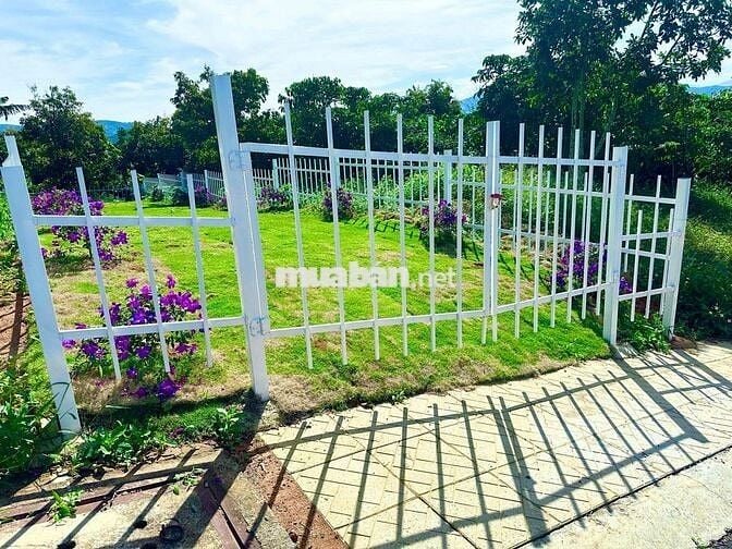Bán Lô cặp 260m2 ngang 10 full thổ cư đất đẹp giáp phường1 Bảo Lộc SHR