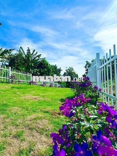 Bán Lô cặp 260m2 ngang 10 full thổ cư đất đẹp giáp phường1 Bảo Lộc SHR