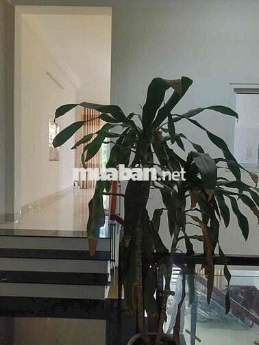 nhà 2 tầng MT Hồ Sỹ Dương 86m2 chỉ 5ty5 TL