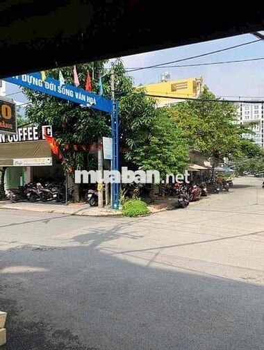 Biệt thự Mini, gần emart phan huy ích, 3T sân vườn, hxh thông, 8.6 tỷ