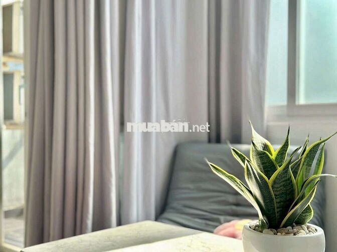 🔥CHO THUÊ LÊ VĂN SỸ-1 PHÒNG NGỦ BAN CÔNG-TÁCH BẾP-FUL NT-35M5