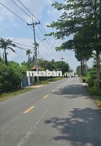 BÁN ĐẤT: 104m2 thổ cư 1/ Giáp Hải - Tân An Hội mới - SHR
