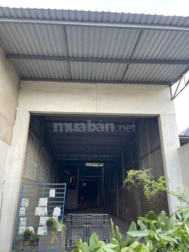 CẦN BÁN GẤP LÔ ĐẤT, XÃ MỸ HẠNH BẮC, ĐỨC HÒA , LONG AN (TÂY NINH)