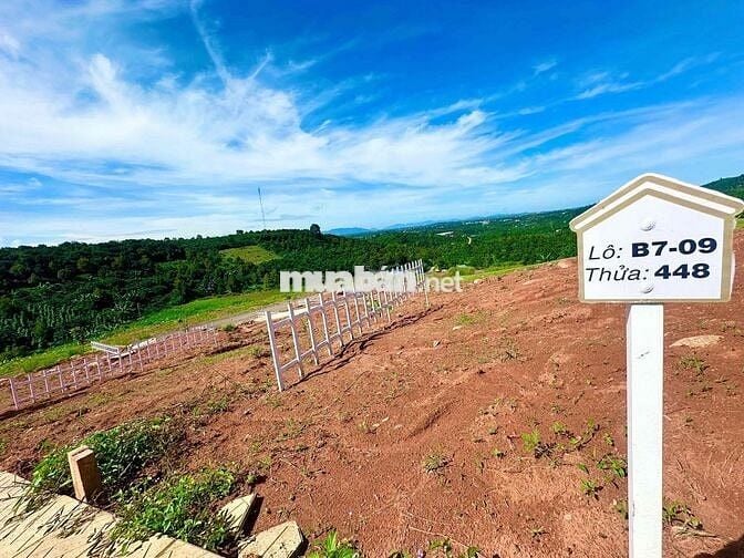 Bán Lô cặp 260m2 ngang 10 full thổ cư đất đẹp giáp phường1 Bảo Lộc SHR
