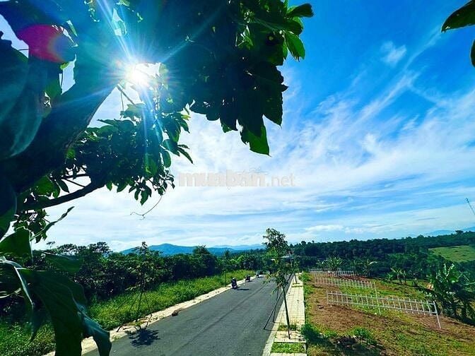Bán Lô cặp 260m2 ngang 10 full thổ cư đất đẹp giáp phường1 Bảo Lộc SHR
