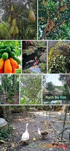 Bán lô đất mặt tiền Bình Nhâm 83, Bình Dương 1904m2/lô, tổng có 3 lô