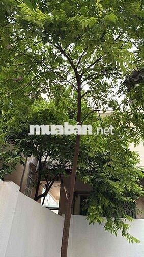 chính chủ Vĩnh Ninh diện tích rộng 4T chỉ ~80tr/m,nhà mới king koong