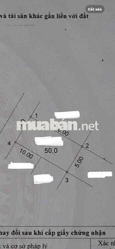ĐẤT DỊChVỤ-DƯƠNG NỘI-HÀ ĐÔNG-Hơn 10 tỷ-Phân lô-Diện tich 50m2-MT 5m.