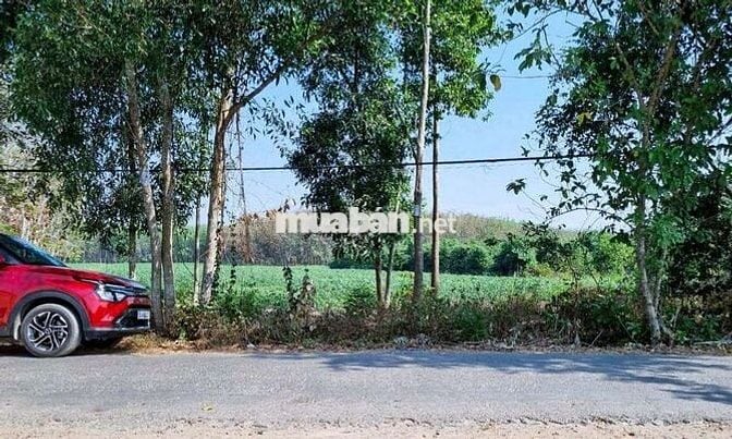 Chính chủ bán 1,2ha ~ gần 11350 mặt tiền DH1 Tây Ninh có 7 lô thổ cư